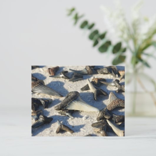 Briefkaart van haaientanden (Staand voorkant)