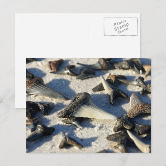 Briefkaart van haaientanden (Voorkant / Achterkant)