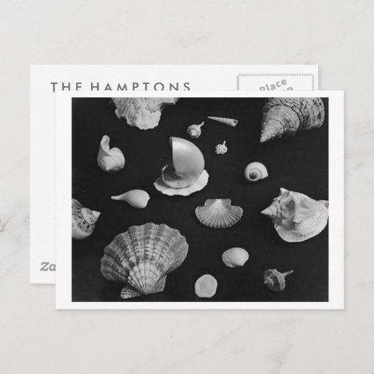 Briefkaart van Hamptons "Seashells" (Voorkant / Achterkant)