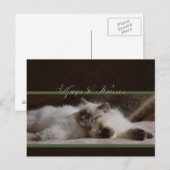 Briefkaart van hanen en kussens (Voorkant / Achterkant)