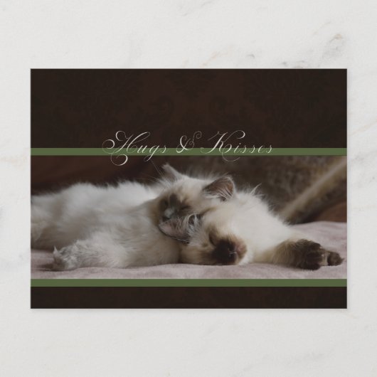 Briefkaart van hanen en kussens (Voorkant)