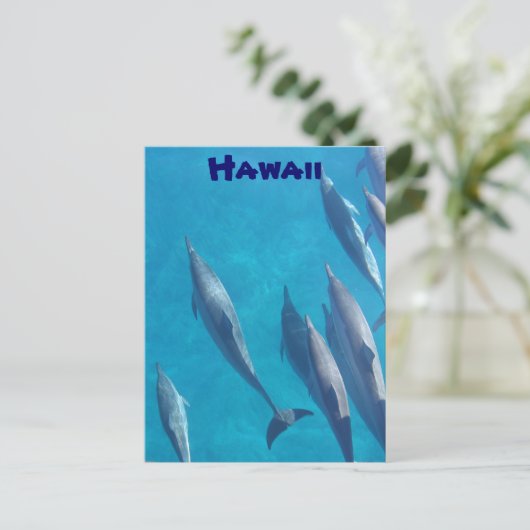 Briefkaart van Hawaiiaanse dolfijnen (Staand voorkant)