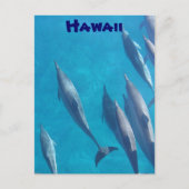 Briefkaart van Hawaiiaanse dolfijnen (Voorkant)