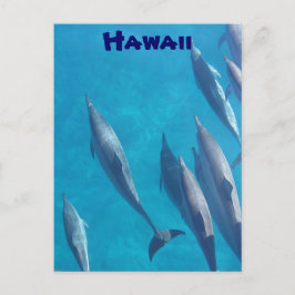 Briefkaart van Hawaiiaanse dolfijnen