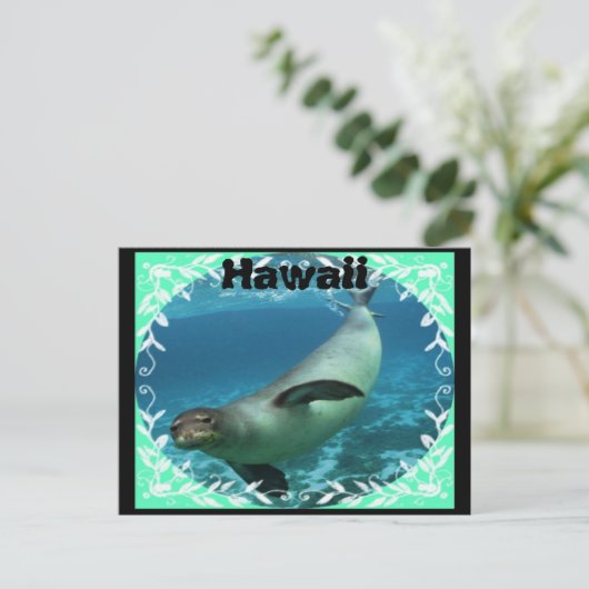 Briefkaart van Hawaiiaanse monniksrob (Staand voorkant)
