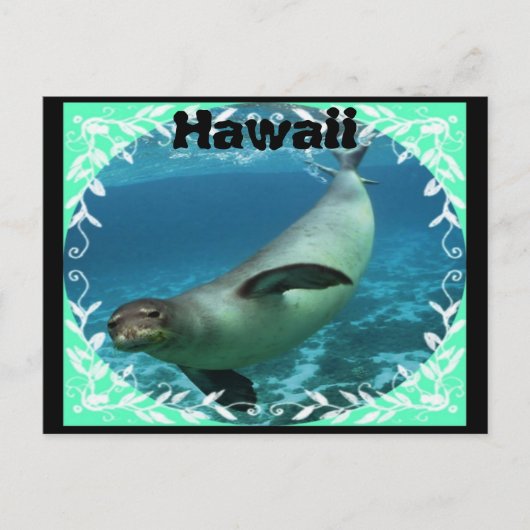 Briefkaart van Hawaiiaanse monniksrob (Voorkant)