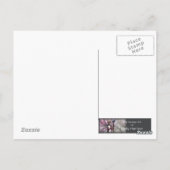 Briefkaart van heks en uil (Achterkant)