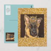 Briefkaart van herder (Voorkant / Achterkant)