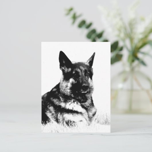 Briefkaart van herder (Staand voorkant)