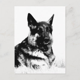 Briefkaart van herder