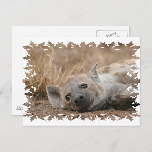 Briefkaart van het Afbeelding Hyena (Voorkant / Achterkant)