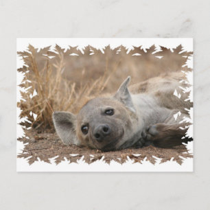 Briefkaart van het Afbeelding Hyena