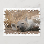 Briefkaart van het Afbeelding Hyena (Voorkant)