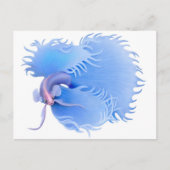 Briefkaart van het afflaring Betta Splendens (Voorkant)