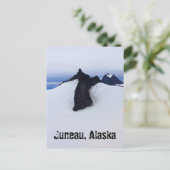 Briefkaart van het alaskalandschap (Staand voorkant)