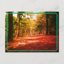 Briefkaart van het  bos