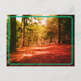 Briefkaart van het  bos