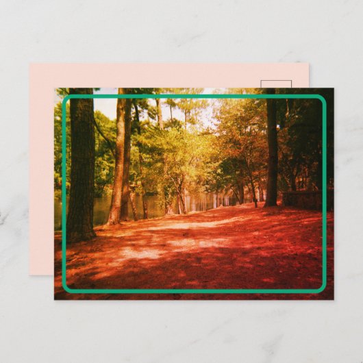 Briefkaart van het  bos (Voorkant / Achterkant)