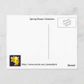 Briefkaart van het Collectie van de lentevloer (Achterkant)