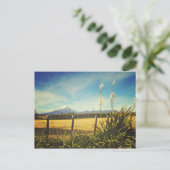 Briefkaart van het dorp Egmont (Staand voorkant)