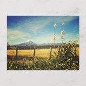 Briefkaart van het dorp Egmont (Voorkant)