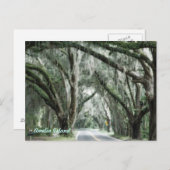 briefkaart van het eiland amelia (Voorkant / Achterkant)