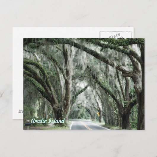 briefkaart van het eiland amelia (Voorkant / Achterkant)