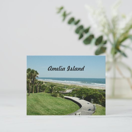 briefkaart van het eiland amelia (Staand voorkant)