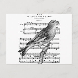 Briefkaart van het Franse Bird Song Music