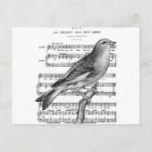  Briefkaart van het Franse Bird Song Music (Voorkant)