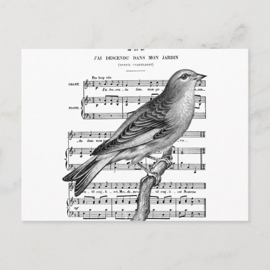  Briefkaart van het Franse Bird Song Music (Voorkant)