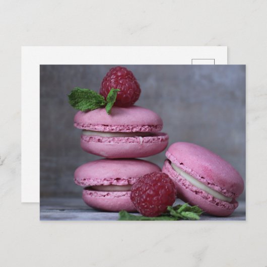 Briefkaart van het Gebakje van Macarons van de (Voorkant / Achterkant)