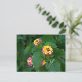 Briefkaart van het geluk van morgen (bloemen) (Staand voorkant)