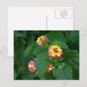 Briefkaart van het geluk van morgen (bloemen) (Voorkant / Achterkant)