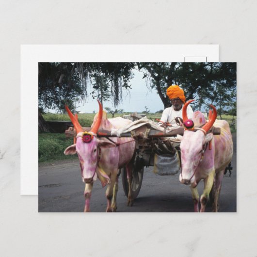 Briefkaart van het Indische Man (Voorkant / Achterkant)