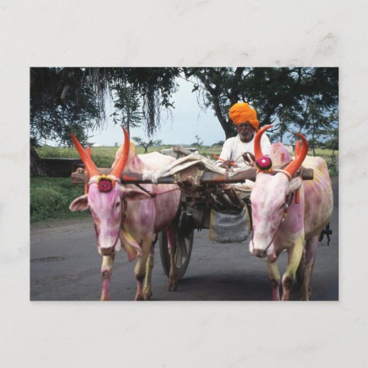 Briefkaart van het Indische Man (Voorkant)