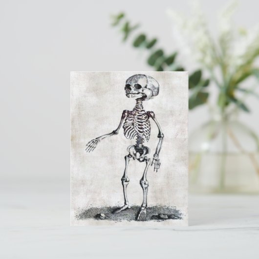 Briefkaart van het kind (Staand voorkant)