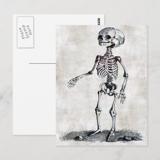 Briefkaart van het kind (Voorkant / Achterkant)