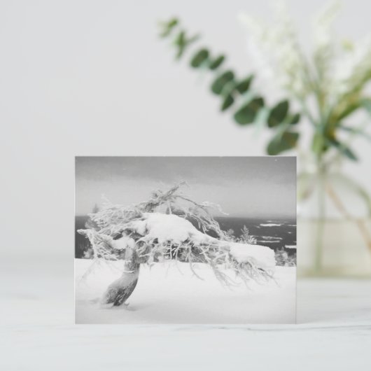 Briefkaart van het landschap Lapland (Staand voorkant)