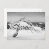 Briefkaart van het landschap Lapland (Voorkant / Achterkant)