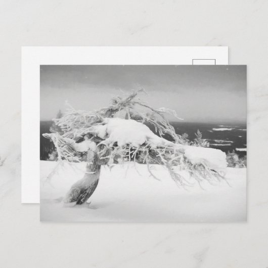 Briefkaart van het landschap Lapland (Voorkant / Achterkant)