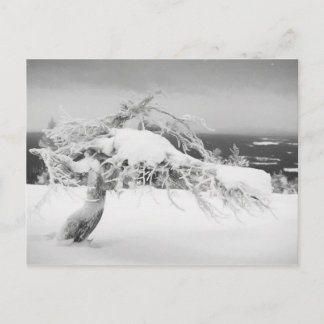 Briefkaart van het landschap Lapland