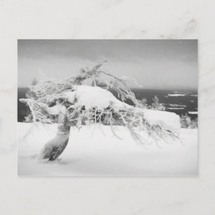 Briefkaart van het landschap Lapland
