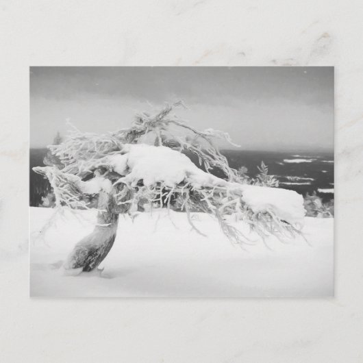 Briefkaart van het landschap Lapland (Voorkant)