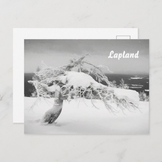 Briefkaart van het landschap Lapland souvenir (Voorkant / Achterkant)