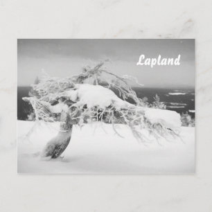 Briefkaart van het landschap Lapland souvenir