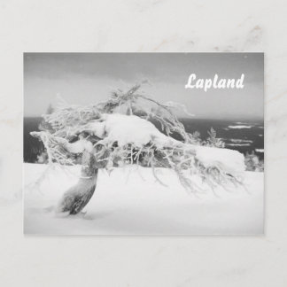 Briefkaart van het landschap Lapland souvenir