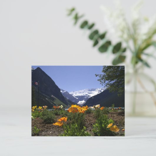 Briefkaart van het Louise-meer (Staand voorkant)