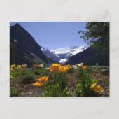 Briefkaart van het Louise-meer (Voorkant)