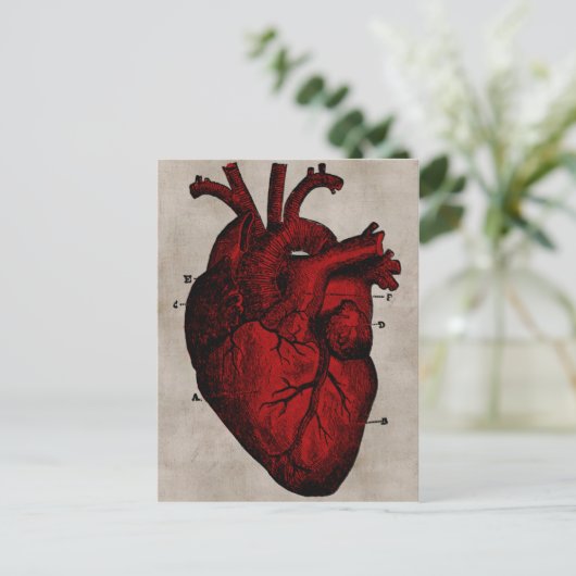 Briefkaart van het menselijk hart (Staand voorkant)